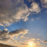 REGINAさんのアイコン画像