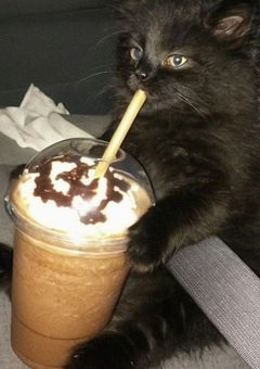 運営様✨! 専用部屋