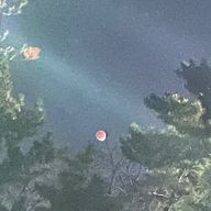 Yuzuさんのアイコン画像