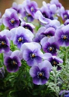 愛をこめて､花束を｡