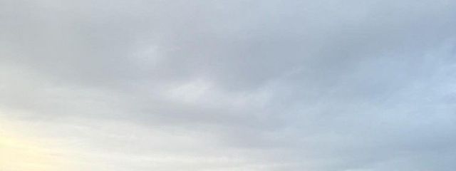 めんだこさんの壁紙画像