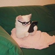 RUHA👶🏻ྀིさんのアイコン画像