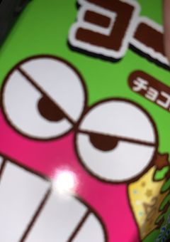 ﾜｧ🥕🥩（ともぼ&かんぼ）