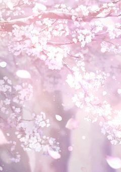 暁山瑞希、天女として忍術学園におちたようで