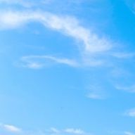 Ririnneさんのアイコン画像