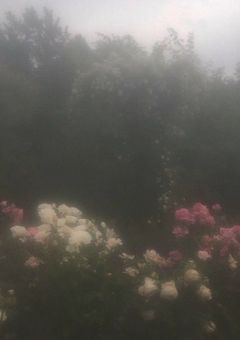 愛は盲目。