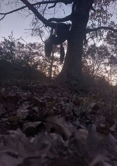 tre 短編集