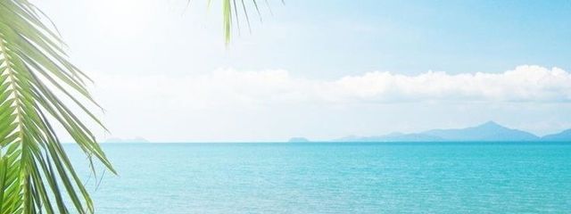　夏 姫 さんの壁紙画像