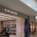 わたなべしょうた