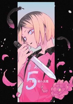 音駒の脳にベッタリなあの子は
