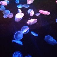 かぐめ氏。さんのアイコン画像