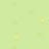 🌼お花畑🌸  フォロバしますさんのアイコン画像