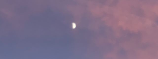 フリードさんの壁紙画像