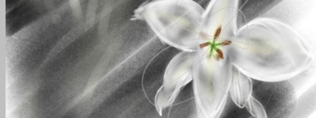 利病💤🍬（りへい）さんの壁紙画像