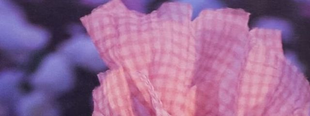 リさんの壁紙画像