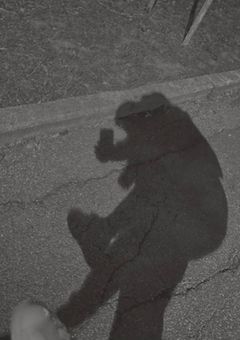 ひみつのおはなし .