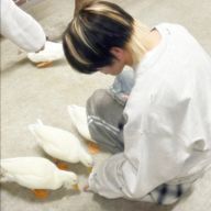 ⋆˚.  ゆ あ  ໒꒱さんのアイコン画像