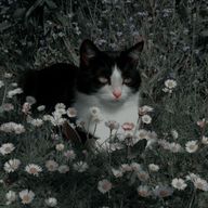 𝟢𝗇𝖾𝟣さんのアイコン画像