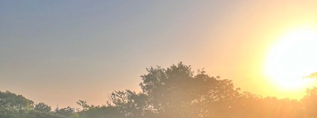 こけし🌐🌀さんの壁紙画像