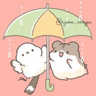 アイ@AI.M.Lさんのアイコン画像