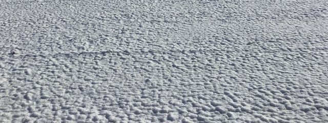 つくねさんの壁紙画像