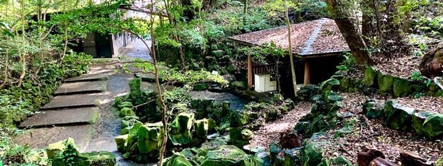 なくるさんの壁紙画像