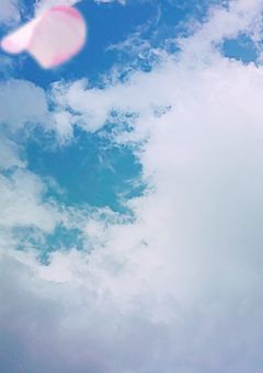 2週間｡