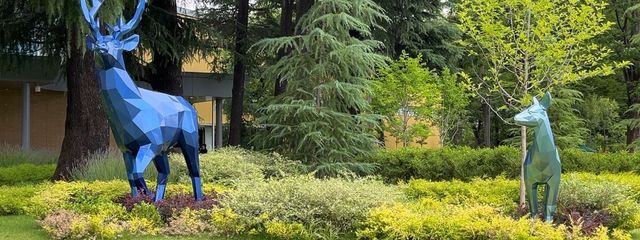 麗音🎧🐺🤍さんの壁紙画像