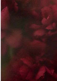 女子校生徒会、ラブコメ始めます！