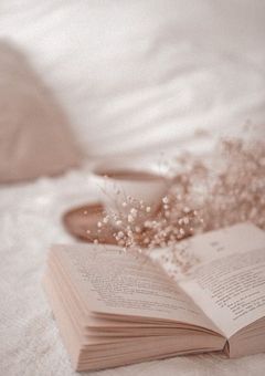 ZMからソロアイドルが！？