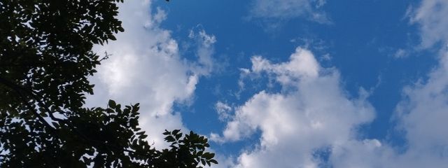 みぃさんの壁紙画像