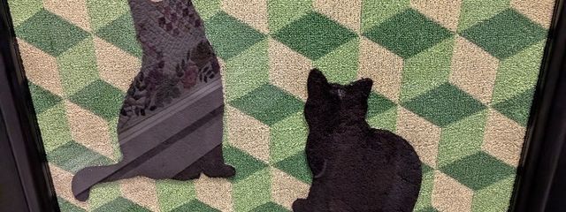 ◆◆◆さんの壁紙画像