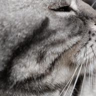 ◆◆◆さんのアイコン画像