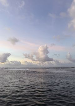 限定層向けの👹👼