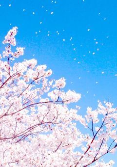君は私／俺とこの空の下で結ばれた