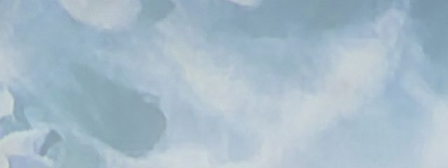 m.さんの壁紙画像