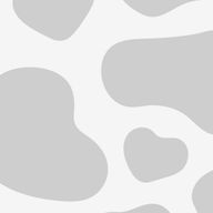 ももさんのアイコン画像