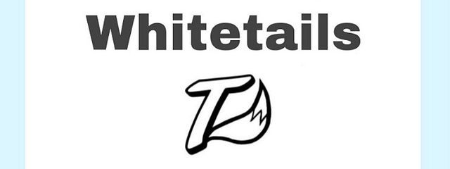 AYA🐼さんの壁紙画像