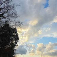 そらさんのアイコン画像