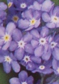 [🎼💜]28の日記。