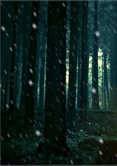 シャル以外ガチで見んといてやー?(^^💢)