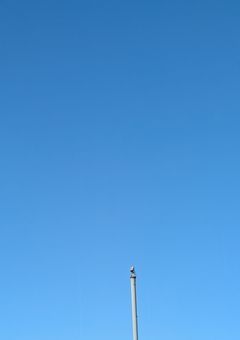 ＃ゲーム日記🎮️