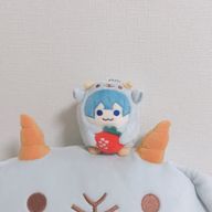 comomo🩵🫧さんのアイコン画像