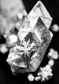 ホープダイヤモンド