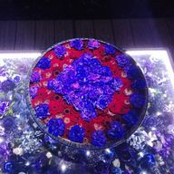 らいむさんのアイコン画像