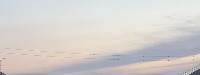 只。さんの壁紙画像
