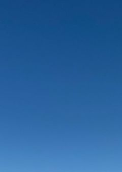 百合氷の日常