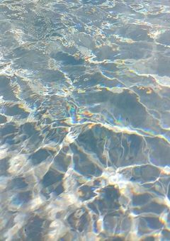 真っ赤な108本のバラを君に