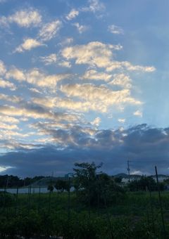 リピートワールド