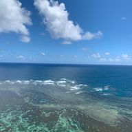 ズッキーニ🥒さんのアイコン画像